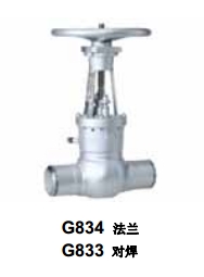 美國(guó)泰勒鑄鋼截止閥G834