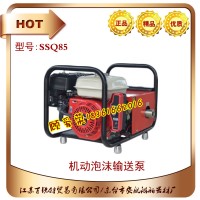 SSQ85泡沫輸轉(zhuǎn)泵