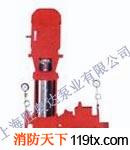 供應勝奧達立式多級穩壓緩沖消防泵